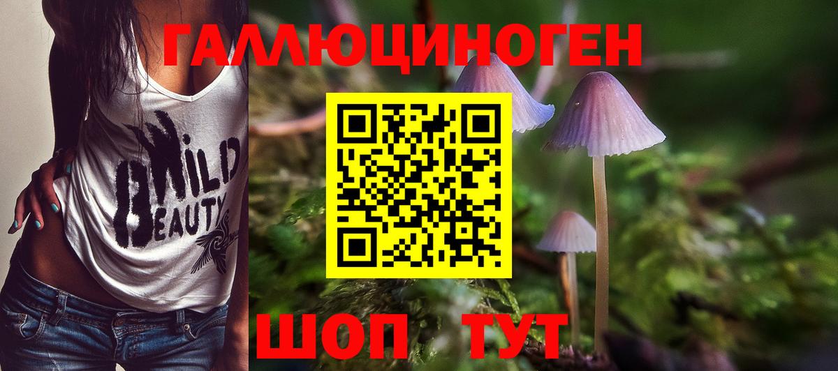Галлюциногенные грибы прущие грибы  Вход с VPN  Каменск-Уральский  Галлюциногенные грибы мицелий 